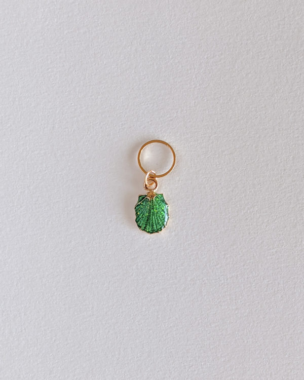Coquillage coque, vert clair