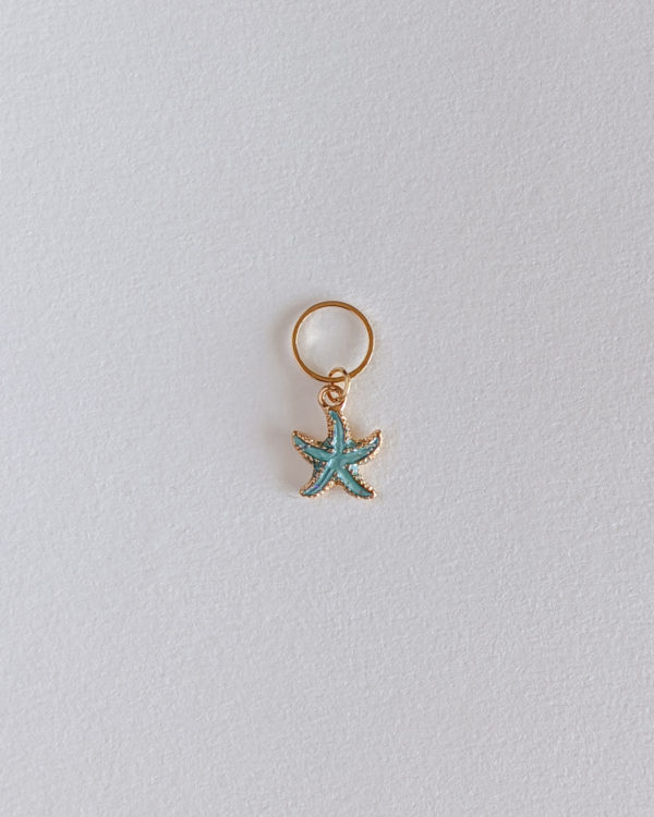 Etoile de mer, bleu ciel