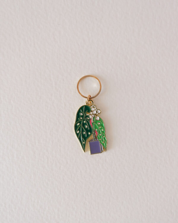 Anneau marqueur Monstera Obliqua, Lot Monstera