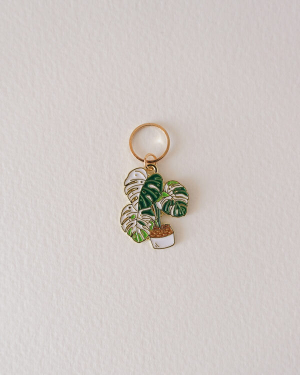 Anneau marqueur Monstera Variegata, Lot Monstera