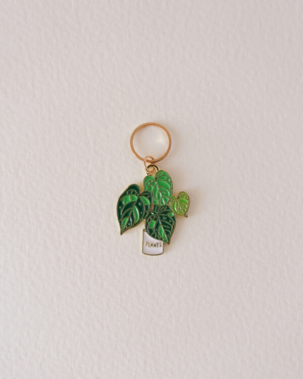 Anneau marqueur Monstera deliciosa, Lot Monstera