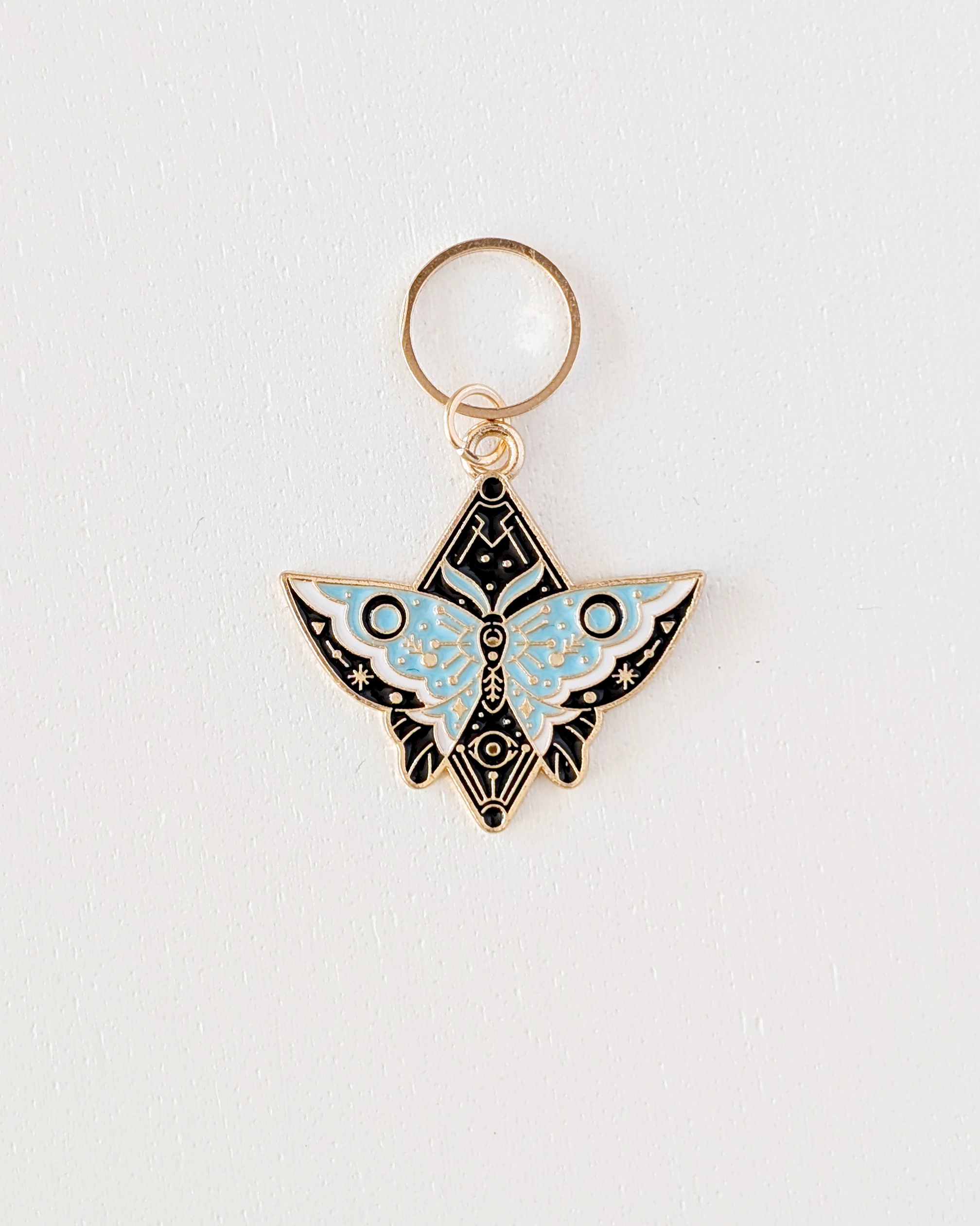 Papillon bleu, lot Papillons #2